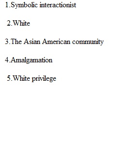 Chapter 11 Race and Ethnicity
